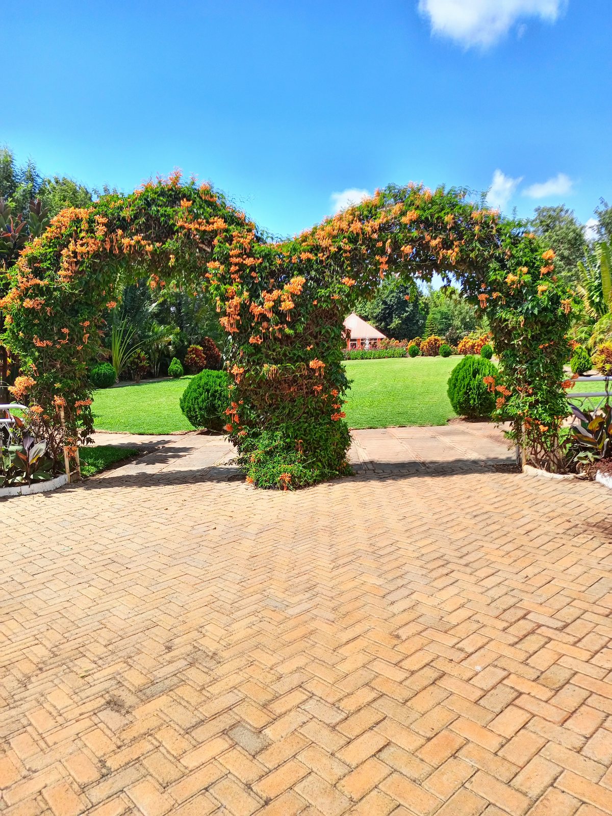 Flowering Garden Archway