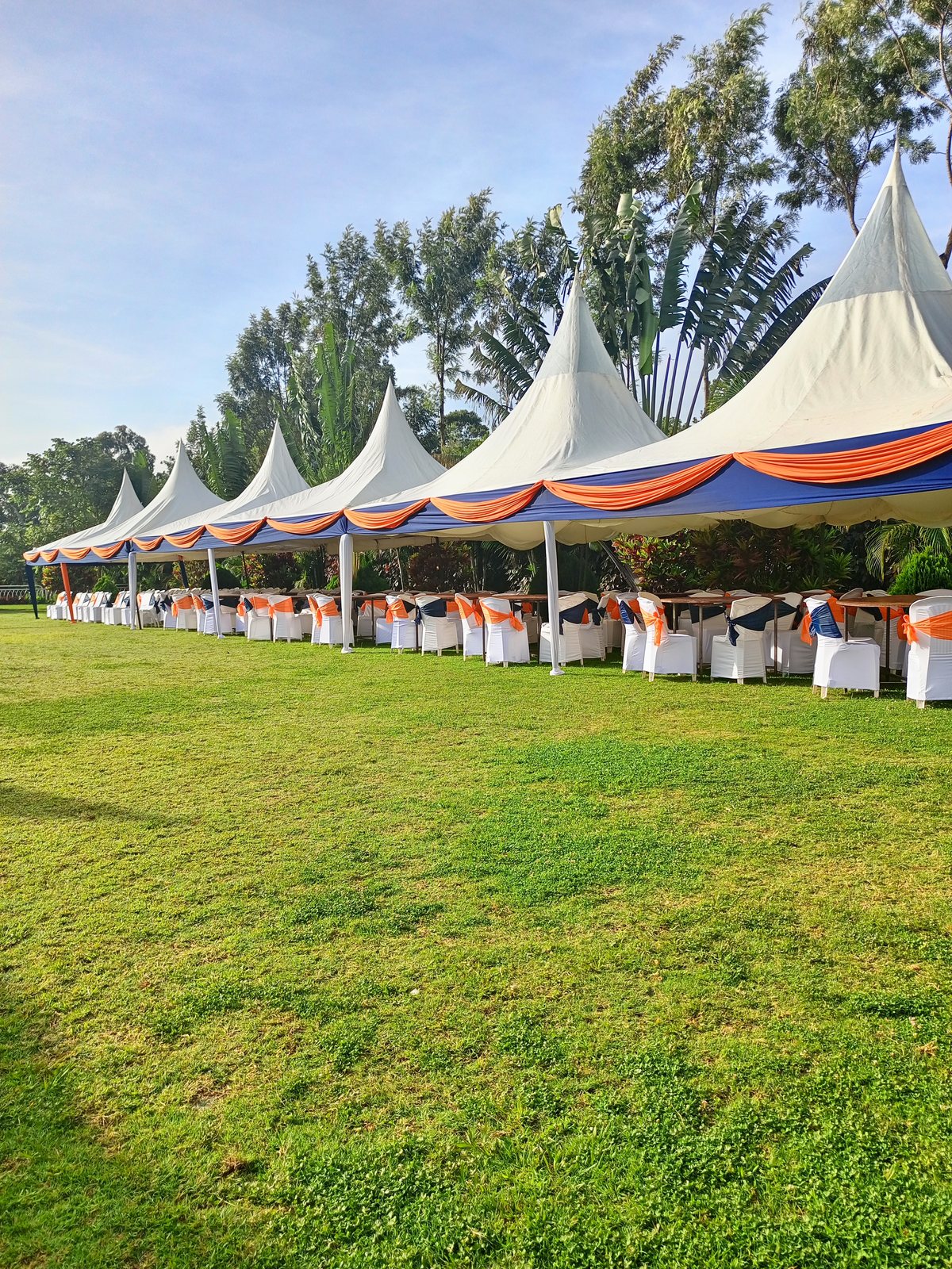 Grand Banquet Lawn Reception