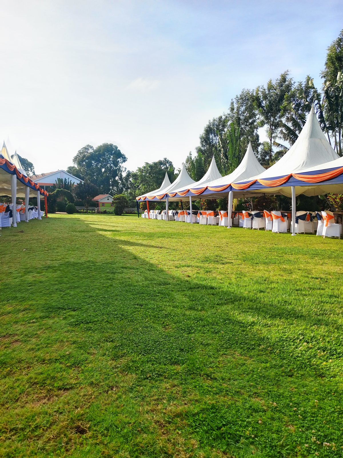 Expansive Celebration Lawns